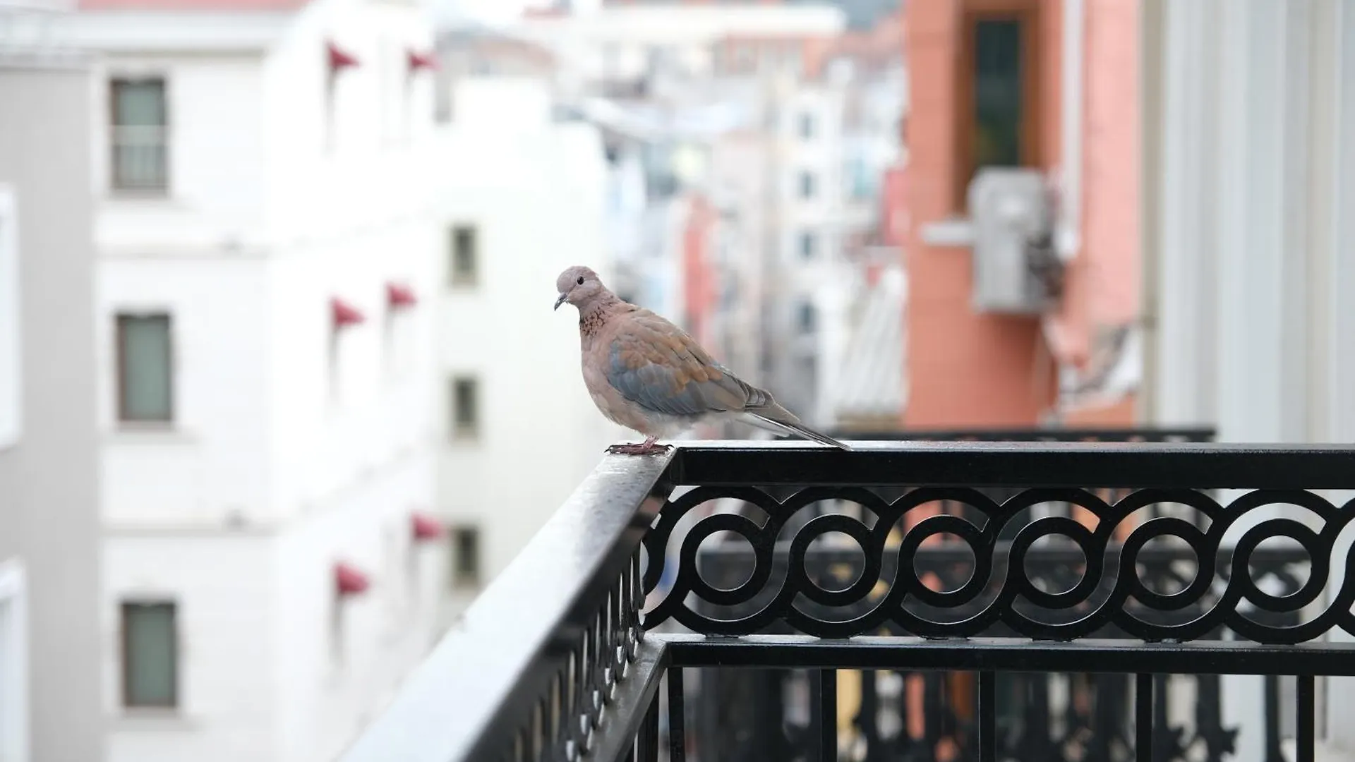 Aparthotel Yellow Mansion Provincia di Provincia di Istanbul